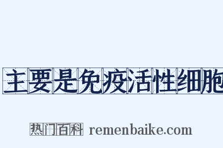 主要是免疫活性细胞是什么意思的图片